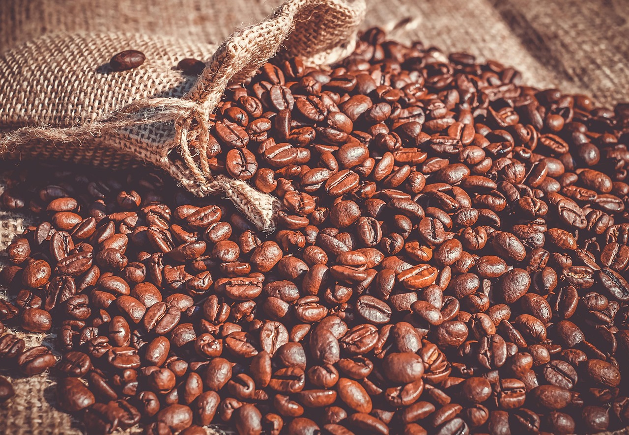 Eugene's Coffee Roasters Shape City's Unique Global Identity