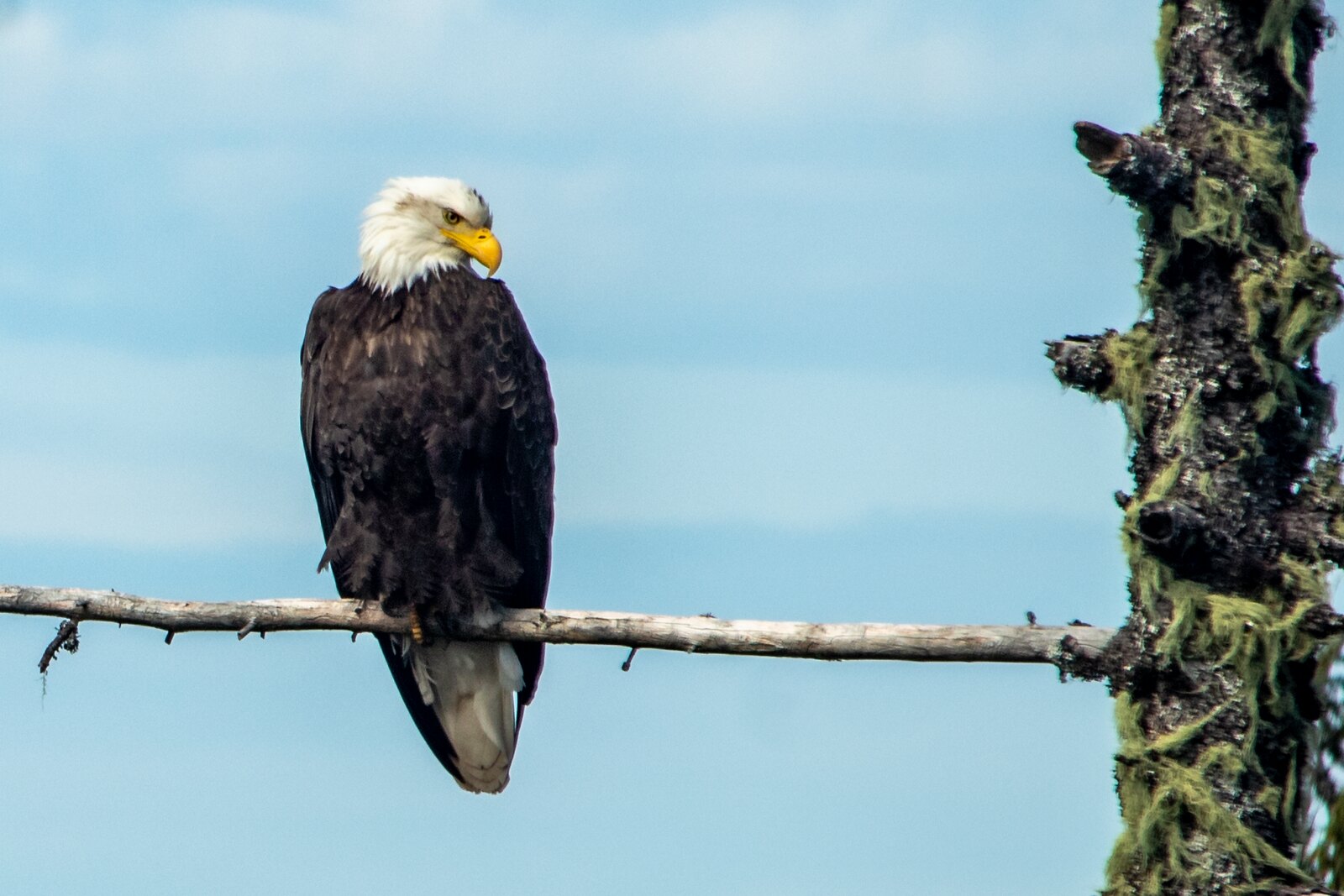 Eugene Residents: 5 Must-Do Activities This Weekend During Perfect Summer Weather